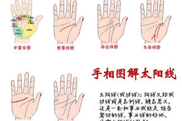 命理智慧：探寻命中大财富的秘密与路径