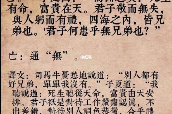 何财何命的成语接龙：探寻人生中的智慧与哲理