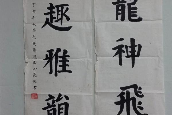 金命者书法的最佳选择与艺术魅力探讨