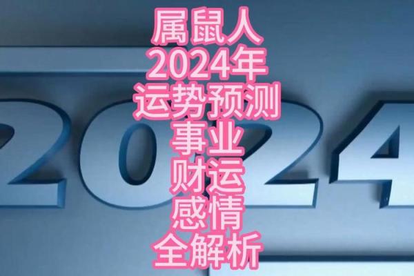 84属鼠人的命运解析：聪明与机遇并存的人生之路