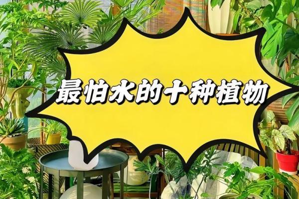 爱养花的人,命里藏花缘:解读那些热爱花卉的人生哲学 爱养花的人,命里藏花缘:解读那些热爱花卉的人生哲学