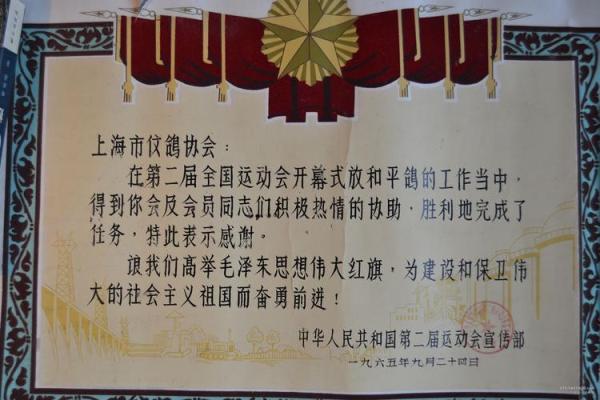 2001年属于金命的一切：揭示生命中的光辉与挑战