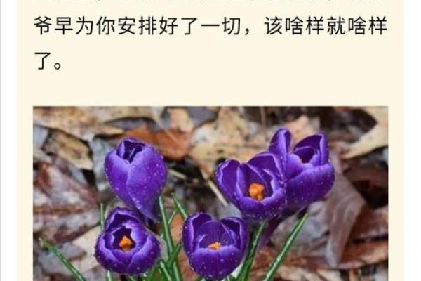 命运与财富：何时发财都是命运的安排