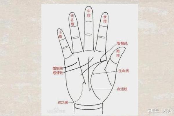 探秘手相：断掌代表的命格与人生轨迹