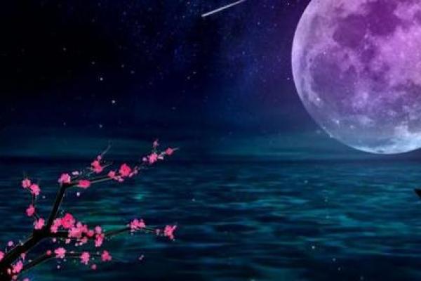 涧下水命女:流动与柔韧的性格解析,寻找内心的宁静与力量 涧下水命女:流动与柔韧的性格解析,寻找内心的宁静与力量