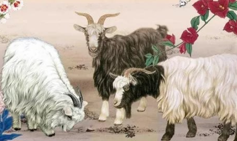 1991年属羊的人命运解析：迷雾中的光明与挑战