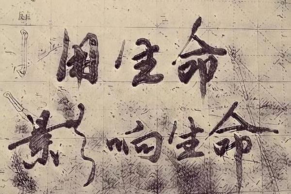 命强与命弱性格区别解析：你是哪种命运的掌舵者？