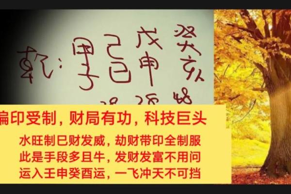 女命偏财坐偏印，探究命理之美与启示