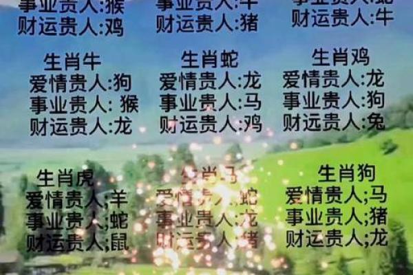 揭开生肖秘密:如何通过生肖自查你的命运与人生道路 揭开生肖秘密:如何通过生肖自查你的命运与人生道路