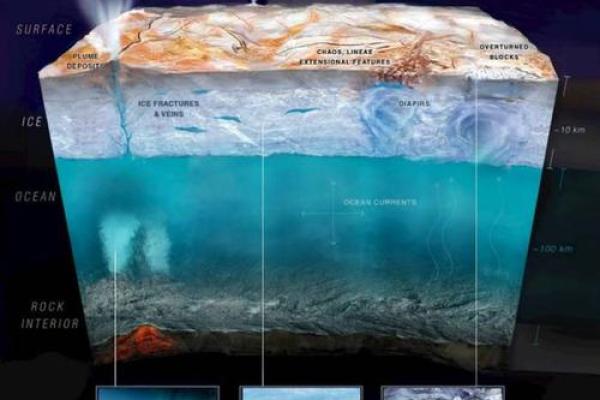 探索1984年的骨命：人生旅程中的能量与潜力