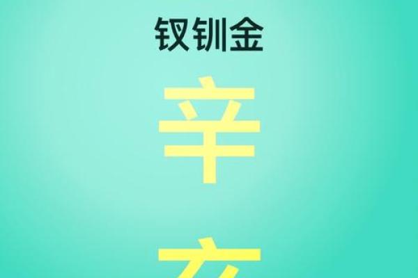 辛亥日柱女命的最佳配偶选择：找到你的命中注定之人!