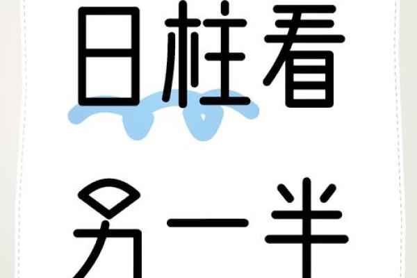 辛亥日柱女命的最佳配偶选择：找到你的命中注定之人!