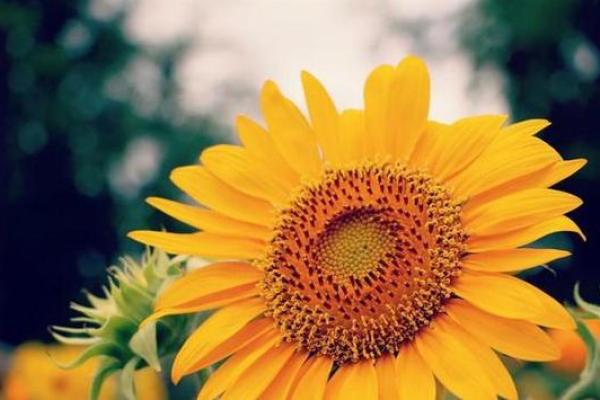 探索天河水命:如何为财运开拓新局面 探索天河水命:如何为财运开拓新局面