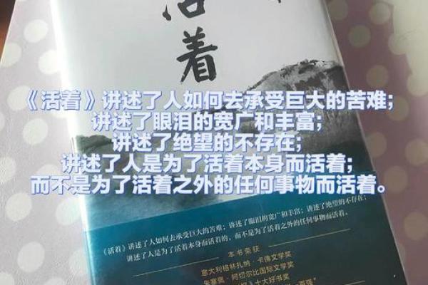 命里有无兄弟，探究命运与亲情的深远意义