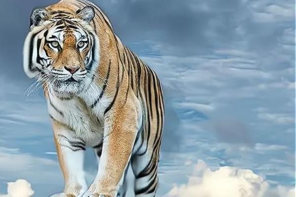 2010年虎年出生的人，命运与性格的独特解析