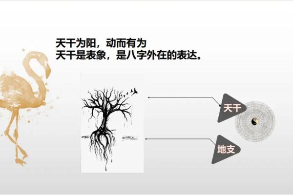 探索土命之谜:从五行看适合的开头号码与人生契机 探索土命之谜:从五行看适合的开头号码与人生契机