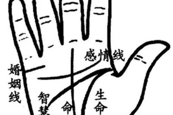 阴历二月二十五出生的命运解析：探索你的生命方向与财富密码