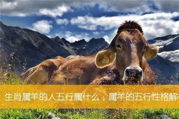 2009属羊人的命运与性格分析:探索他们的生活与事业之路 2009属羊人的命运与性格分析:探索他们的生活与事业之路