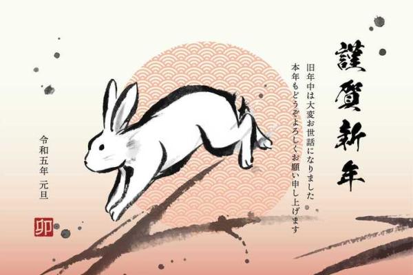 属猪金命运与数字的神秘关系探秘