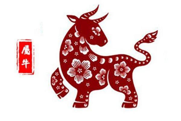 2021属牛命理解析：深入了解不同命局的运势与性格特点