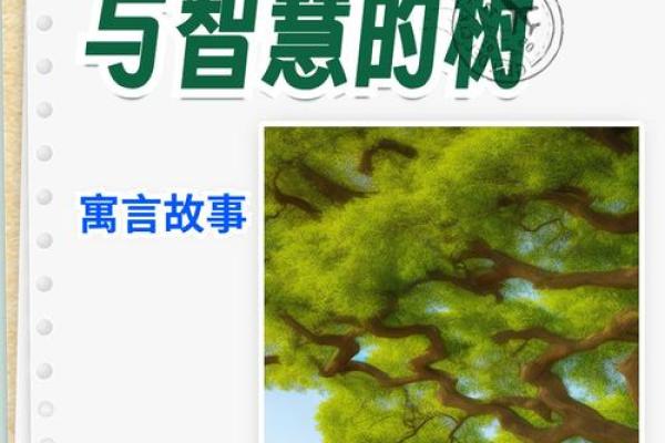 探寻“一命抵一命”的古老智慧与现代意义