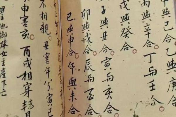 探秘命理：男女身命背后的深刻含义与人生启示