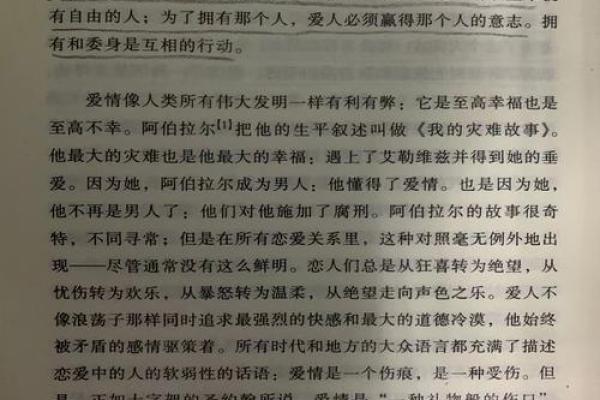 属相男孩命格解析：揭示你的运势与人生之路