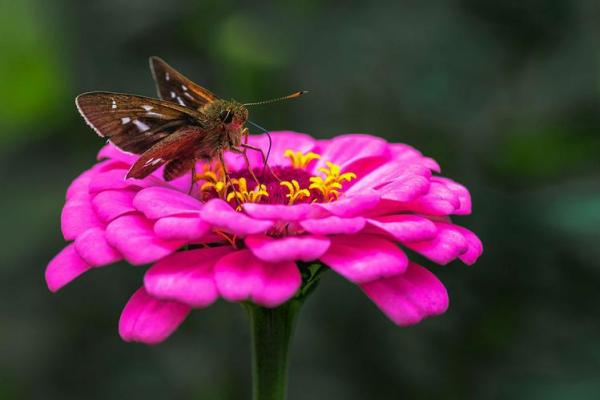 大池水命适合的小颜色,带你洞察生命之美! 大池水命适合的小颜色,带你洞察生命之美!