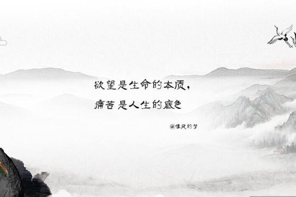 不见光的人生：探索阴影中的命运与希望