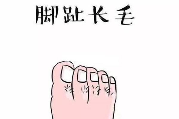 通过观察脚趾，解读命理之谜，探索自己的性格与运势