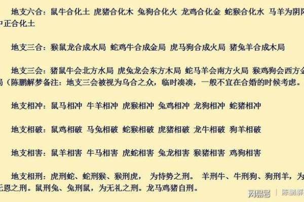 属兔1997的命理分析与人生导向