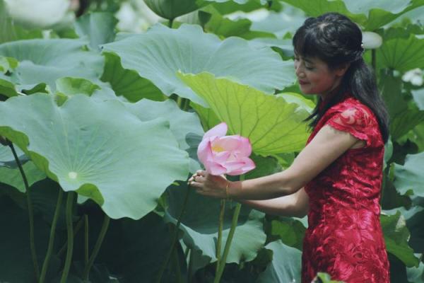 戊戌女命的魅力与美丽：解析为何她们总是光彩照人