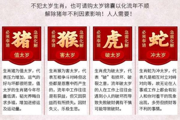2022年虎年属什么命？揭秘虎年的命运与运势变化