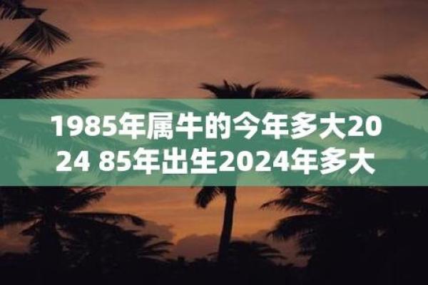 1985年出生的人：命运与性格的独特之旅