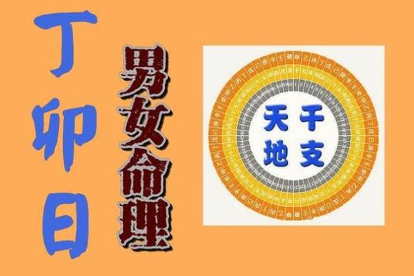 探索“未命”之谜：理解未命与人生的深刻联系