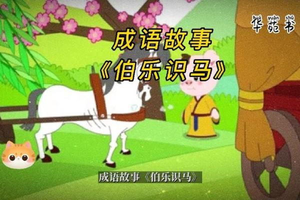 根据命喜花,成语解析与生活启示 根据命喜花,成语解析与生活启示