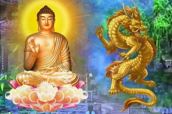 探索1976年龙命的独特魅力与生活智慧