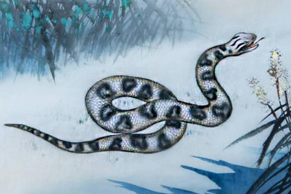 2037年属什么命?揭开生肖的神秘面纱! 2037年属什么命?揭开生肖的神秘面纱!