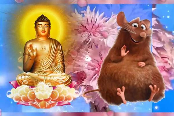 1999年属鼠人的命理解析：开启智慧与机遇的旅程