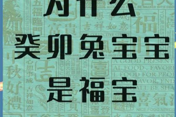兔年出生的人：命运与性格的独特解析