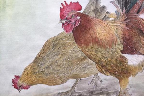 1981年属鸡：从命理看事业与生活的智慧之道