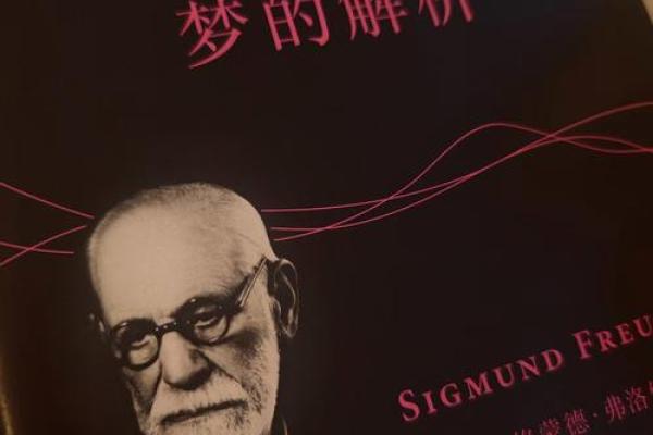 救赎皆是命,命运的考验与重生之路 救赎皆是命,命运的考验与重生之路