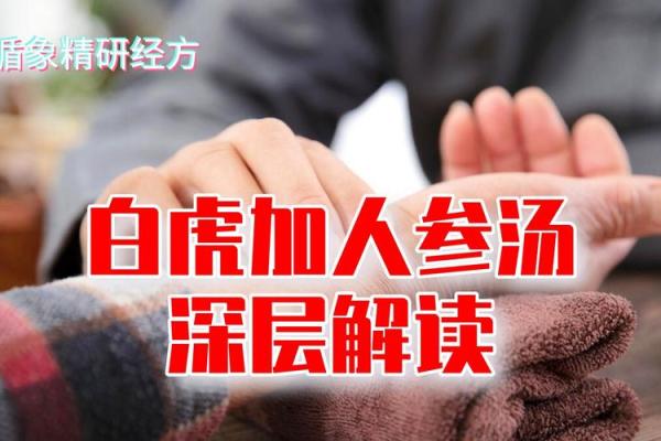 女命无夫星的深层解读与人生启示