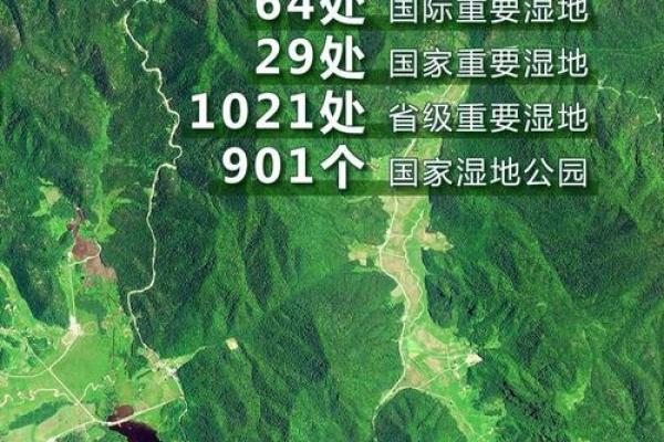 当1957年广袤天空下的命人与生活的纠葛