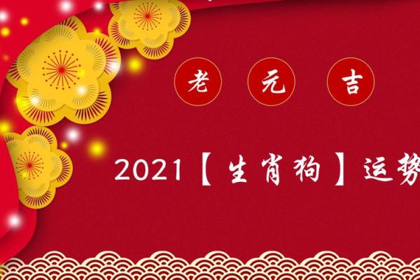 狗年十月命运解析：探索狗年出生者的命运轨迹与发展机遇
