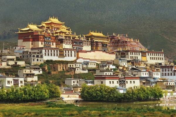 探讨佛教信仰中的因果法则与命运观念：为何信命并不符合佛教思想