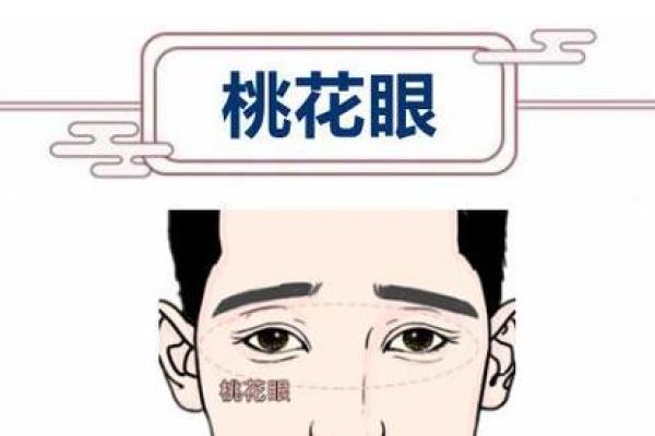 揭开面相之谜：如何通过面相看女命的桃花运势