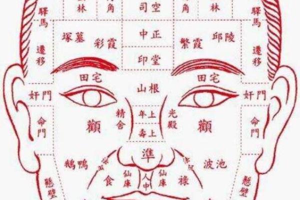 探讨女性命格：长相与命运的微妙关系与影响