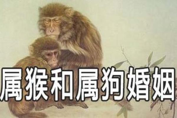 1988年属狗：属于你的命运之旅与性格解析