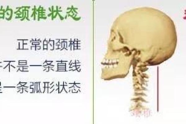 婴儿骨头硬是命的重要性与健康成长的关系
